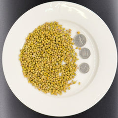 Coriander Seeds ( Dhania )