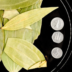 Tez Patta Bay Leaves