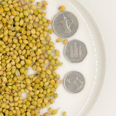 Coriander Seeds ( Dhania )