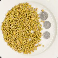 Coriander Seeds ( Dhania )