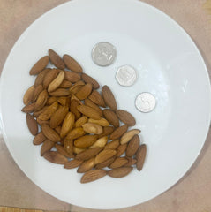 Mamra Almond AFGHANISTAN