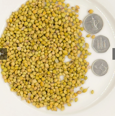 Coriander Powder (Dhania)