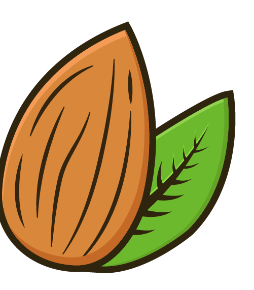 Dry Fruits, Nuts, Seeds, Spices Online Store Dubai – DryFruits.AE