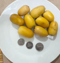 Organic dates رطب تمر UAE