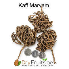 Kaff Maryam (كف مريم)