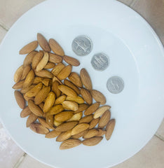 Mamra Almond AFGHANISTAN