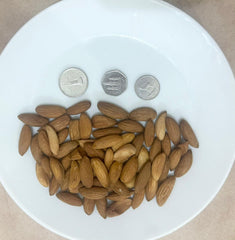 Mamra Almond AFGHANISTAN