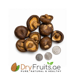 Dry Mashroom