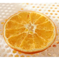 Dried Orange Slice