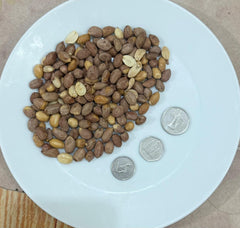 Organic Peanut India