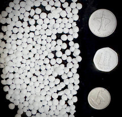 Sago Seeds (SAGO DANA INDIA )