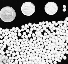 Sago Seeds (SAGO DANA INDIA )