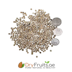 Dried White Paper