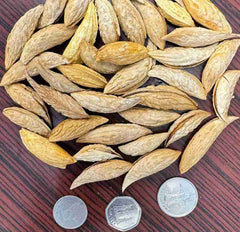 Mamra Almond in Shell Organic