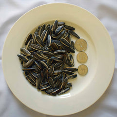 Sunflower seed