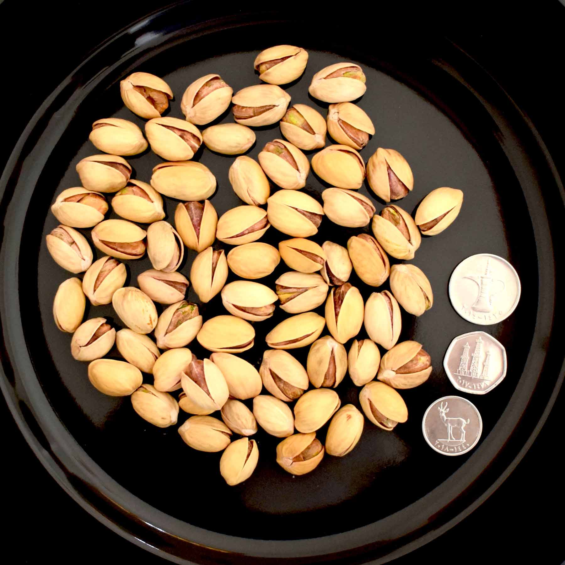 Pistachio Nuts Medium