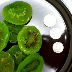Dried Kiwi Slices