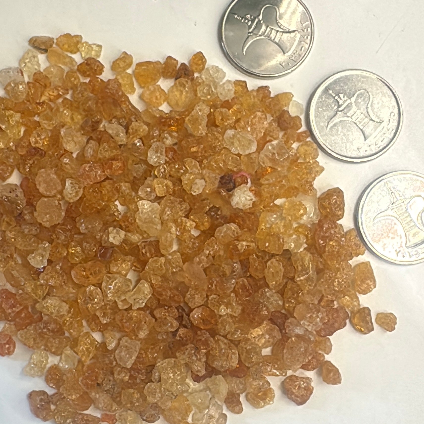 Gum arabic ( Char Gond )