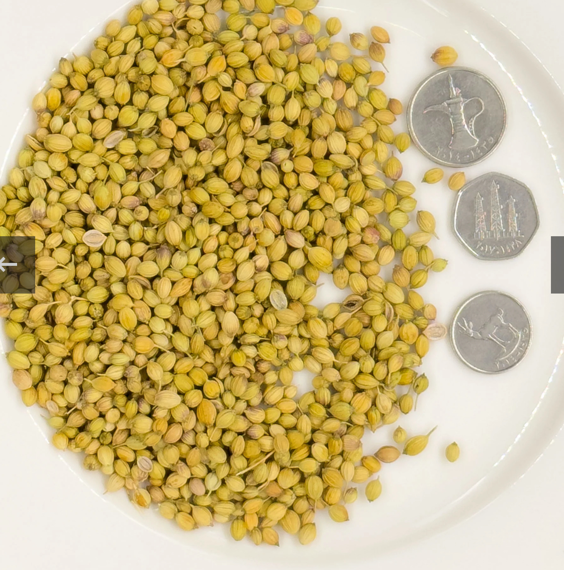 Coriander Powder (Dhania)