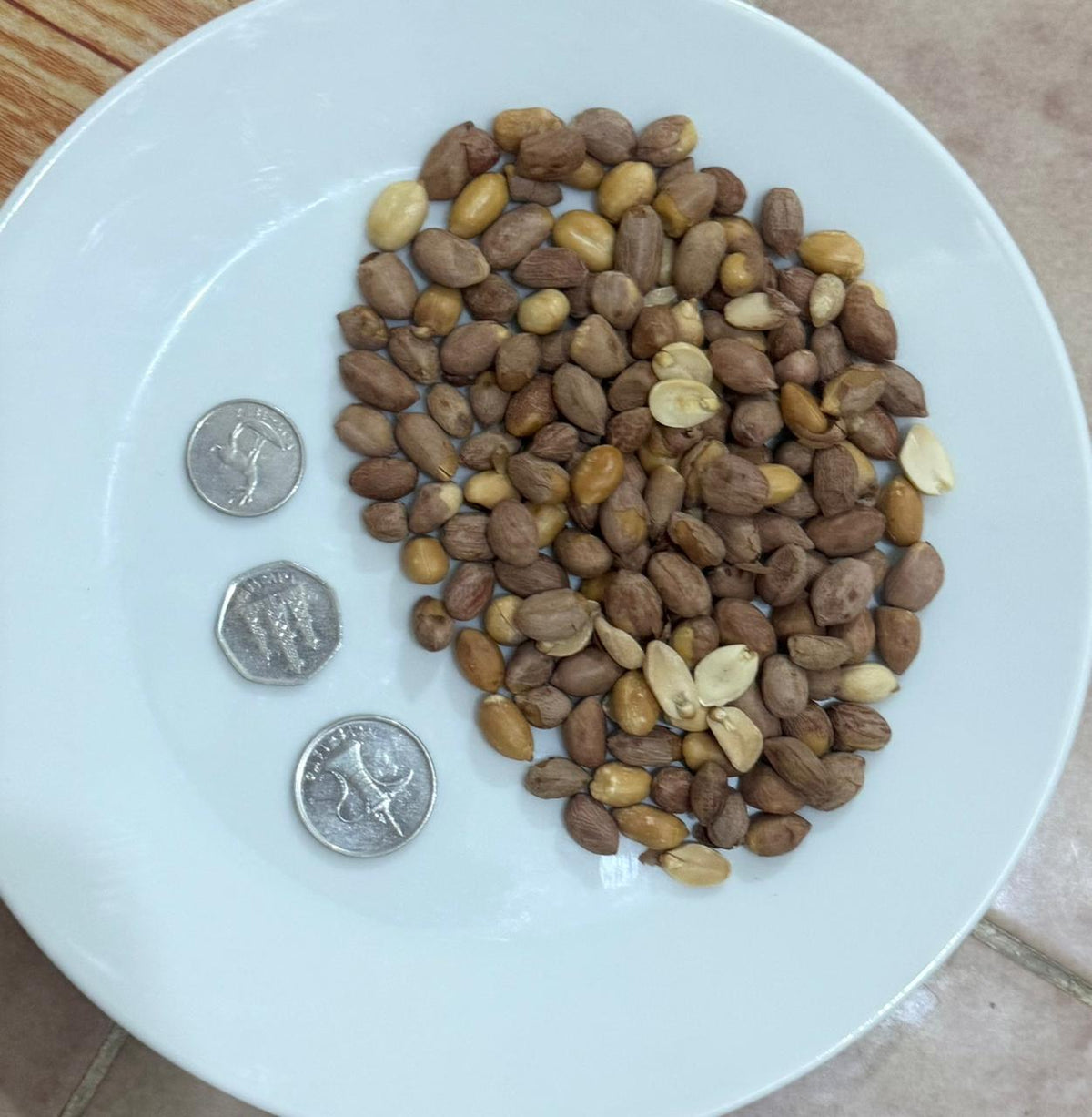 Organic Peanut India