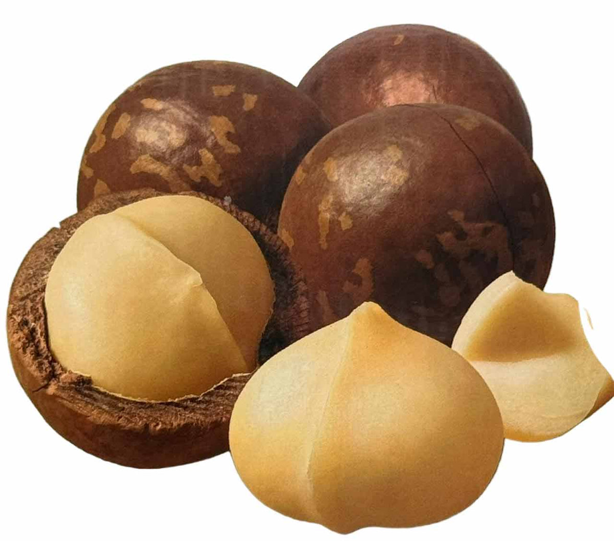Macadamia Nut Coffee Flavor