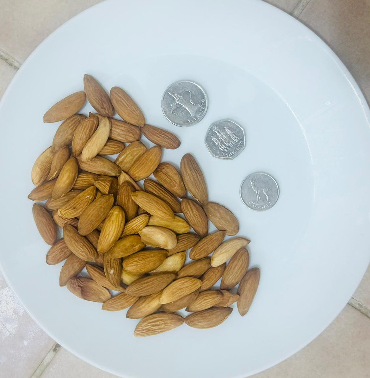 Mamra Almond AFGHANISTAN