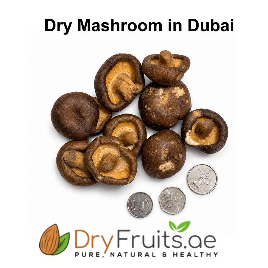 Dry Mashroom