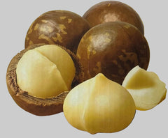 Macadamia Nut Coffee Flavor