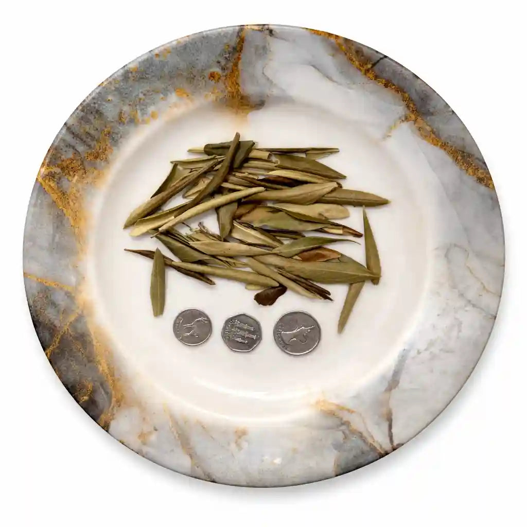 Olive Leaf Tea (organic) شاي أوراق الزيتون