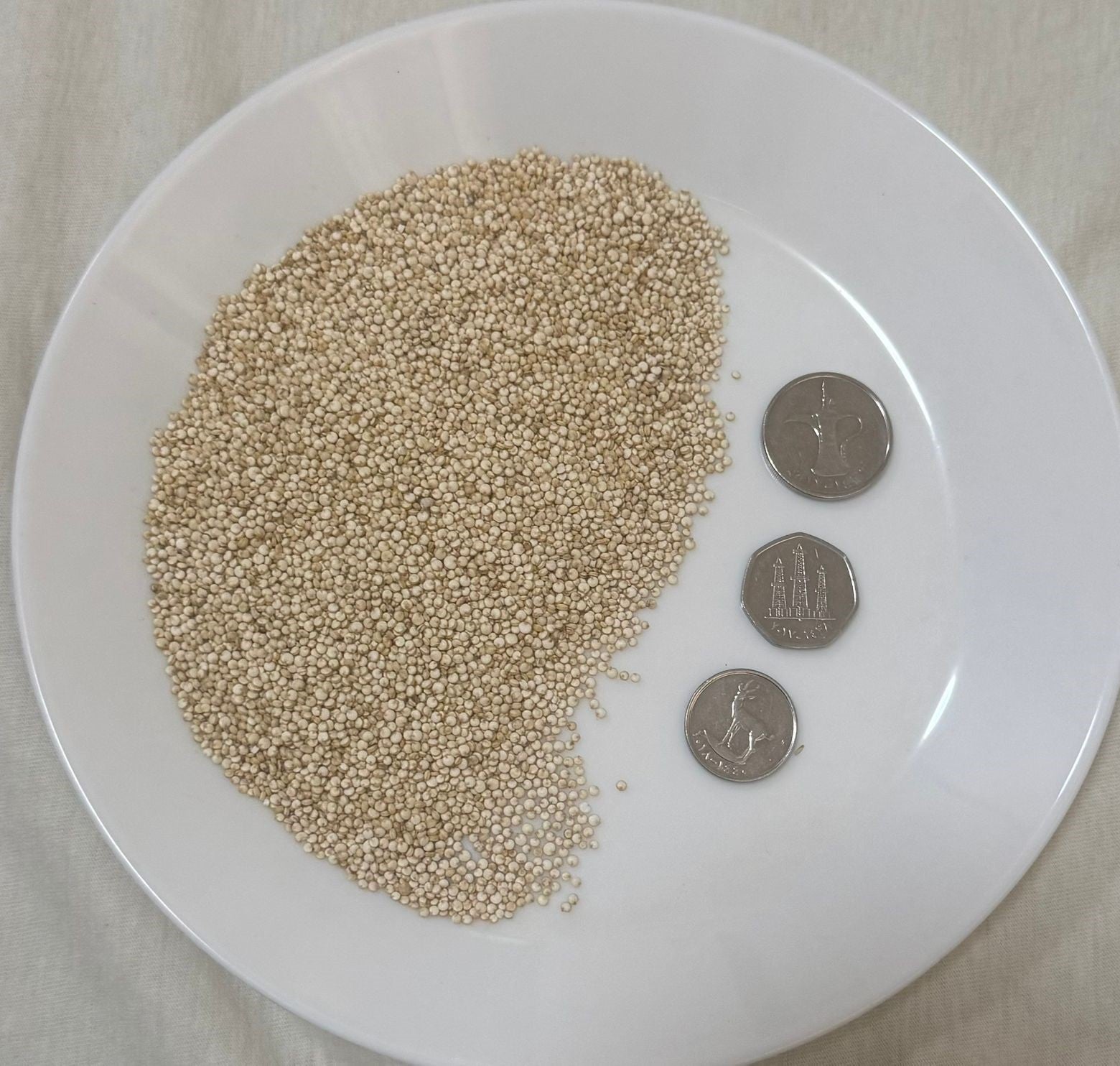 Quinoa Seeds White