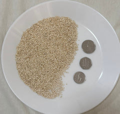 Quinoa Seeds White