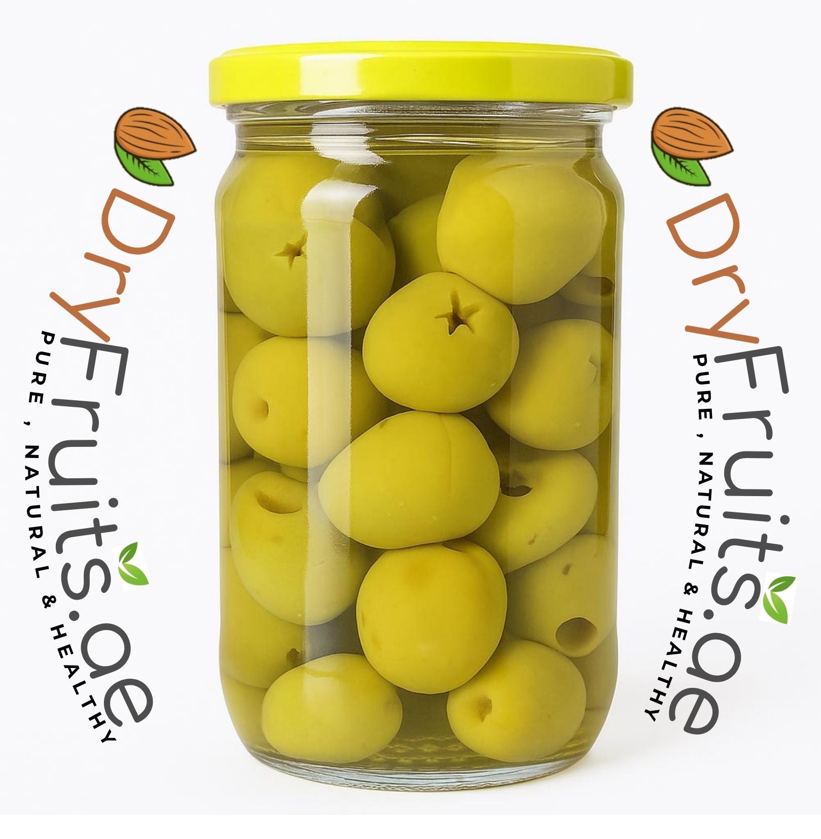 Olive Seeds بذور الزيتون